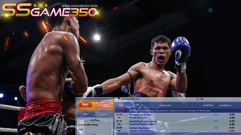 แทงมวยออนไลน์ SBOBET